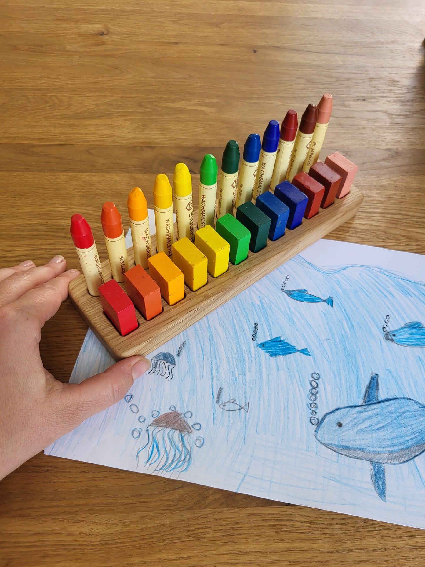 Waldorf Crayon holder for Stockmar 12 Blocks and 12 Sticks without crayons