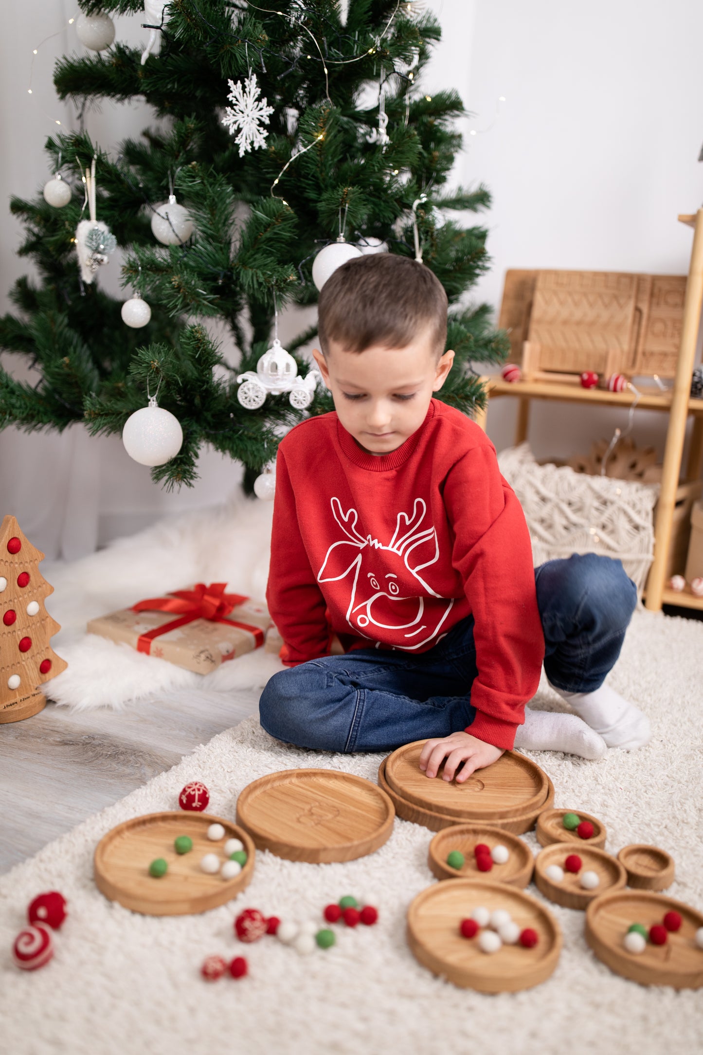Sorting Plates or Trays with Numbers