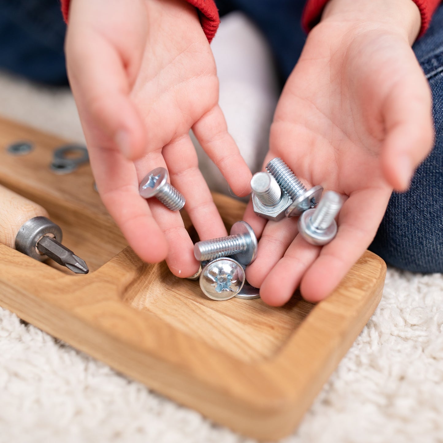 Montessori screw board