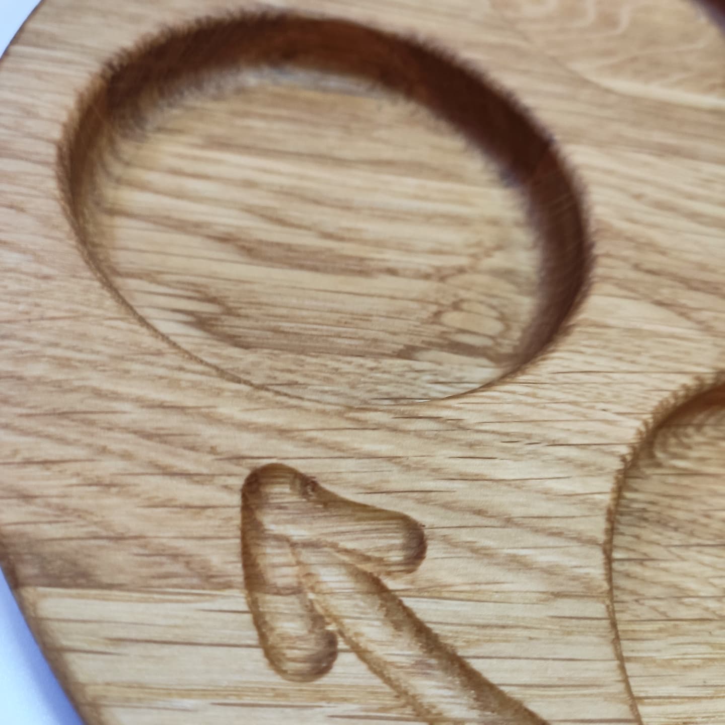 Montessori life cycle reversible tray