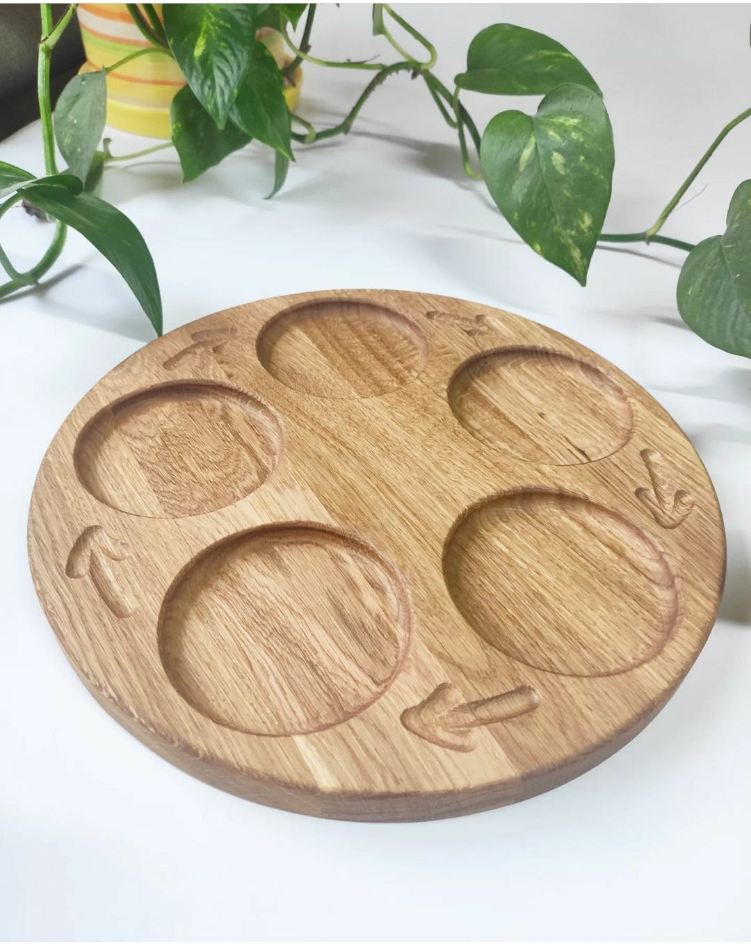 Montessori life cycle reversible tray, with 4 sections on 1 side and with 5 sections on the back side